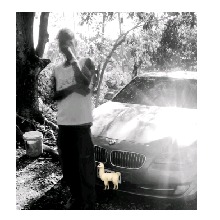 Guest_Lammi3