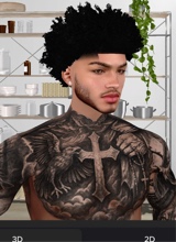 Guest_Michael771063