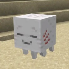 Guest_Kitty167793