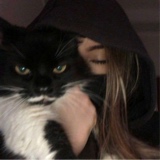 Guest_Biazitabela