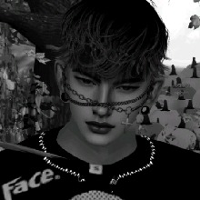 avpic