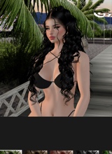 Guest_Scarlet674774