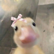 Guest_Heavenone