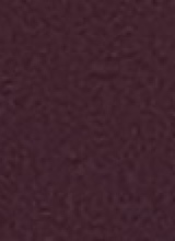 Guest_Jj260401