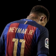 immagine avatar