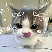 Guest_Vywel