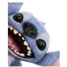 immagine avatar