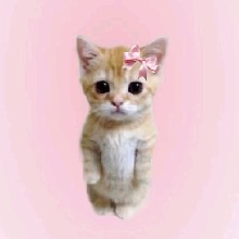 Guest_Mimikiooo