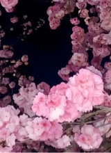 Guest_LiaKim