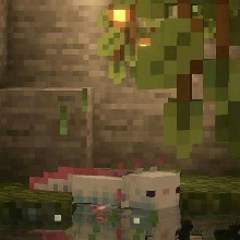 Guest_Luliwi