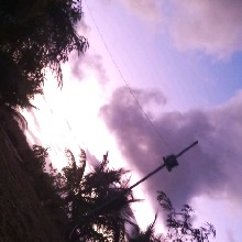 Guest_manu459171