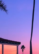Guest_Kailyah964337
