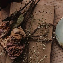 Guest_Ashher3