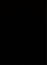Guest_clement2