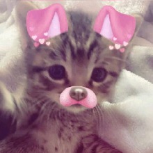 Guest_Mayara511747