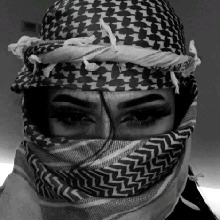 Guest_Chay20