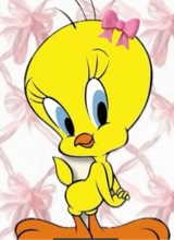 Guest_JANAE334063