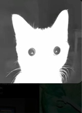 Guest_JordyBooop
