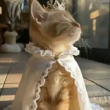 Guest_girlari24