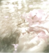 Guest_Angelmuse