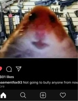 Guest_Yourlocalsimp6