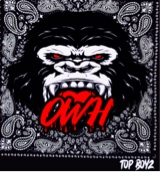 Guest_OWHDROCK