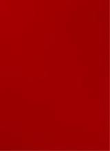 Guest_Giovanna452152