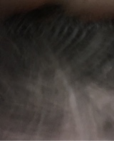 Guest_Amauri4