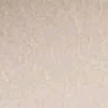 Guest_Cardosooh