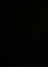 Guest_Rayshawngetthabtxhes