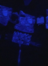 Guest_zevisu