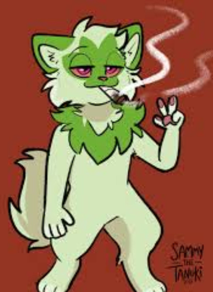 Guest_Darkwolf4201