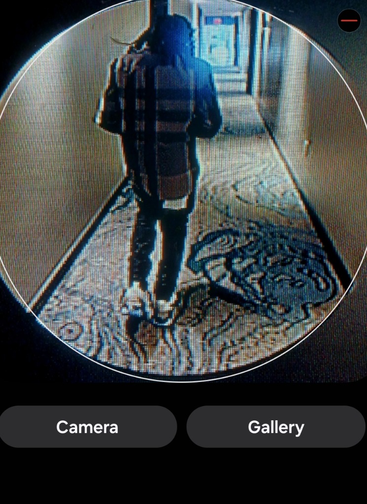 Guest_Travis243440