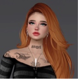 Guest_Tommie257038