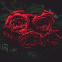 Guest_itskaleb