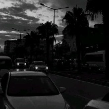 Guest_DANTAS08