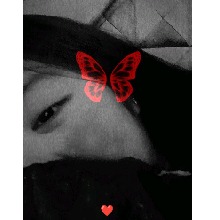 Guest_Sara18391