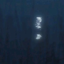 Guest_Txuanme