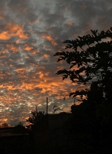 Guest_AlejandraRominaBrite