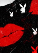 Guest_savanna281114