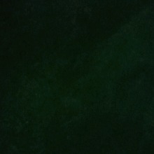 Guest_animatus