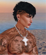 Guest_Tom849979