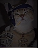 Guest_tracas1