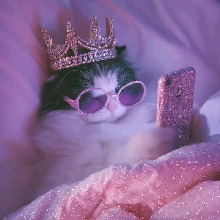 Guest_TheZozLittlePrincess