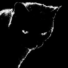 Guest_Fantasma1726