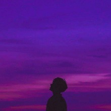 Guest_waveelectricviolc235