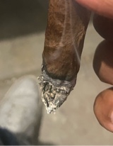 Guest_5starsdee