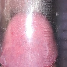 Guest_fewpiggypink3f47
