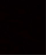 Guest_Thatboidrippin1