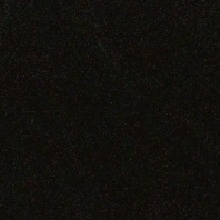 Guest_Sofia123437097